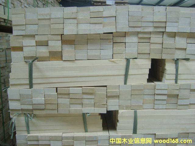 �c���鿴��ľ�ٹ�ķŴ�DƬ