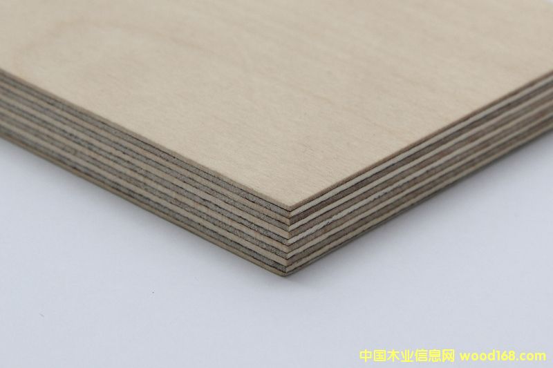 �M(j��n)�ڶ��_˹ȫ��ľ�z�ϰ� ������Ԕ��(x��)��B