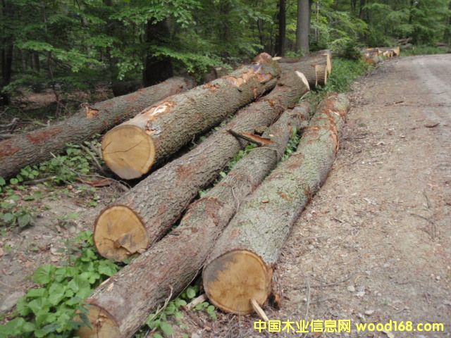 �W��Oak��Ԕ����B