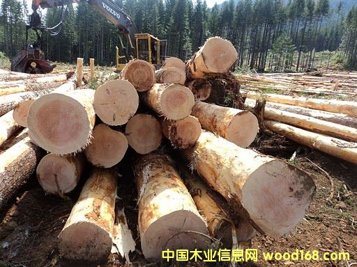 ���ڵ��Ї���Ԕ����B