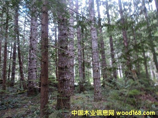 ԭľ���ô��Ԕ����B