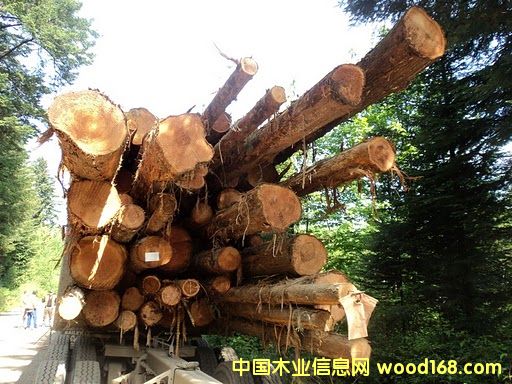 ���ô�ľ�ĵ�Ԕ����B