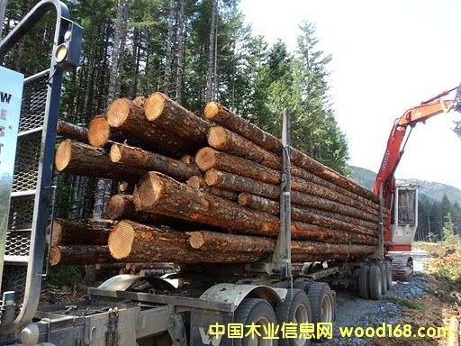 �b�\��Ԕ����B