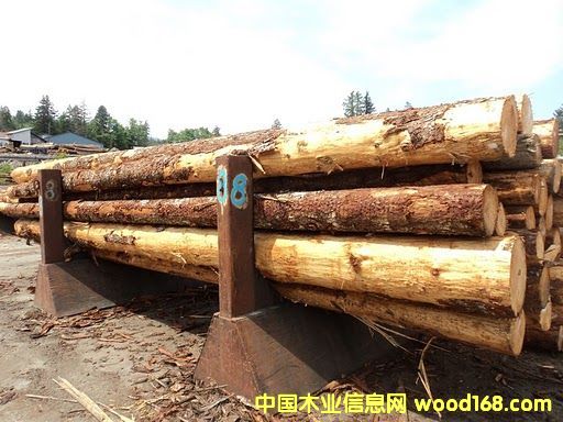 �Fɼ��Ԕ����B