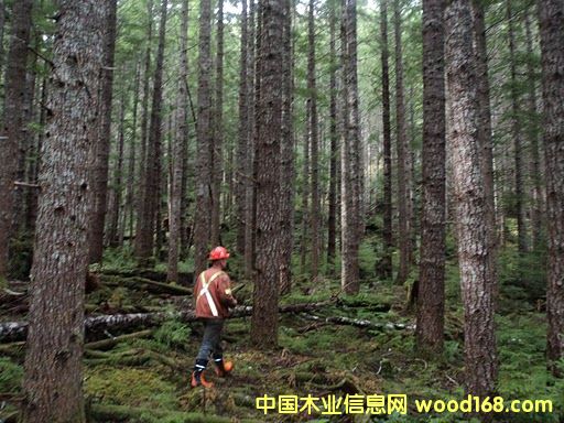 ���ô��ֵص�Ԕ����B