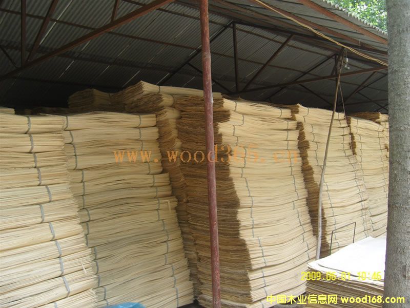 ��ľ�ΰ��Ԕ����B