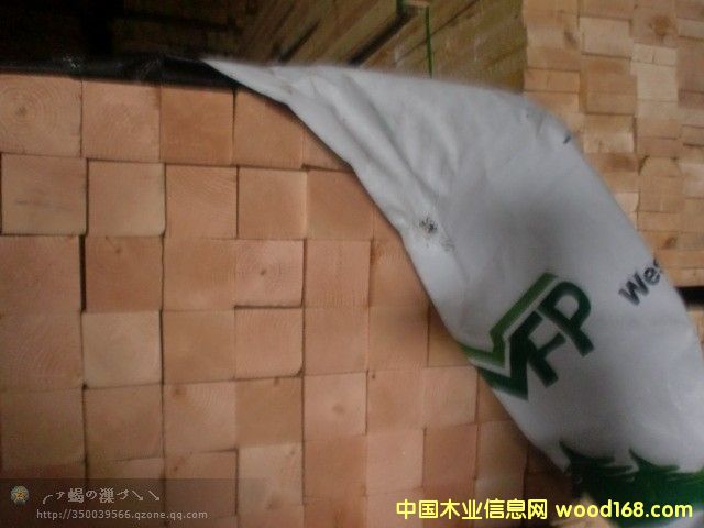 �Fɼ