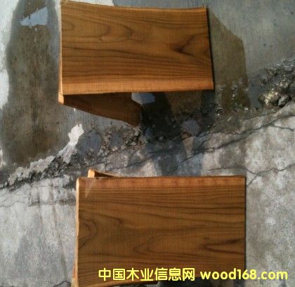 ��������ľ��Ԕ����B