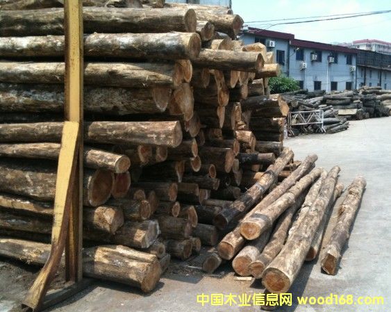 ��������ľ��Ԕ����B