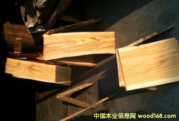 ��������ľ��Ԕ����B