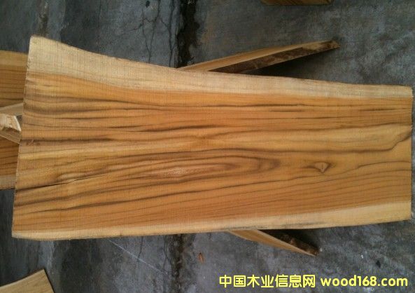 ��������ľ��Ԕ����B