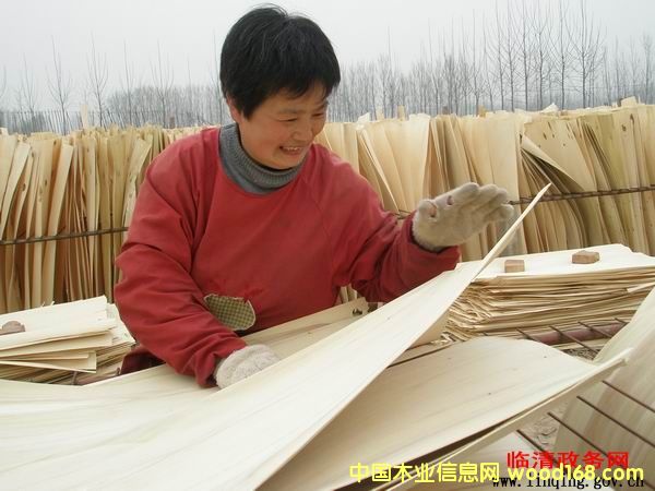 ��ľ��Ƥ��Ԕ����B