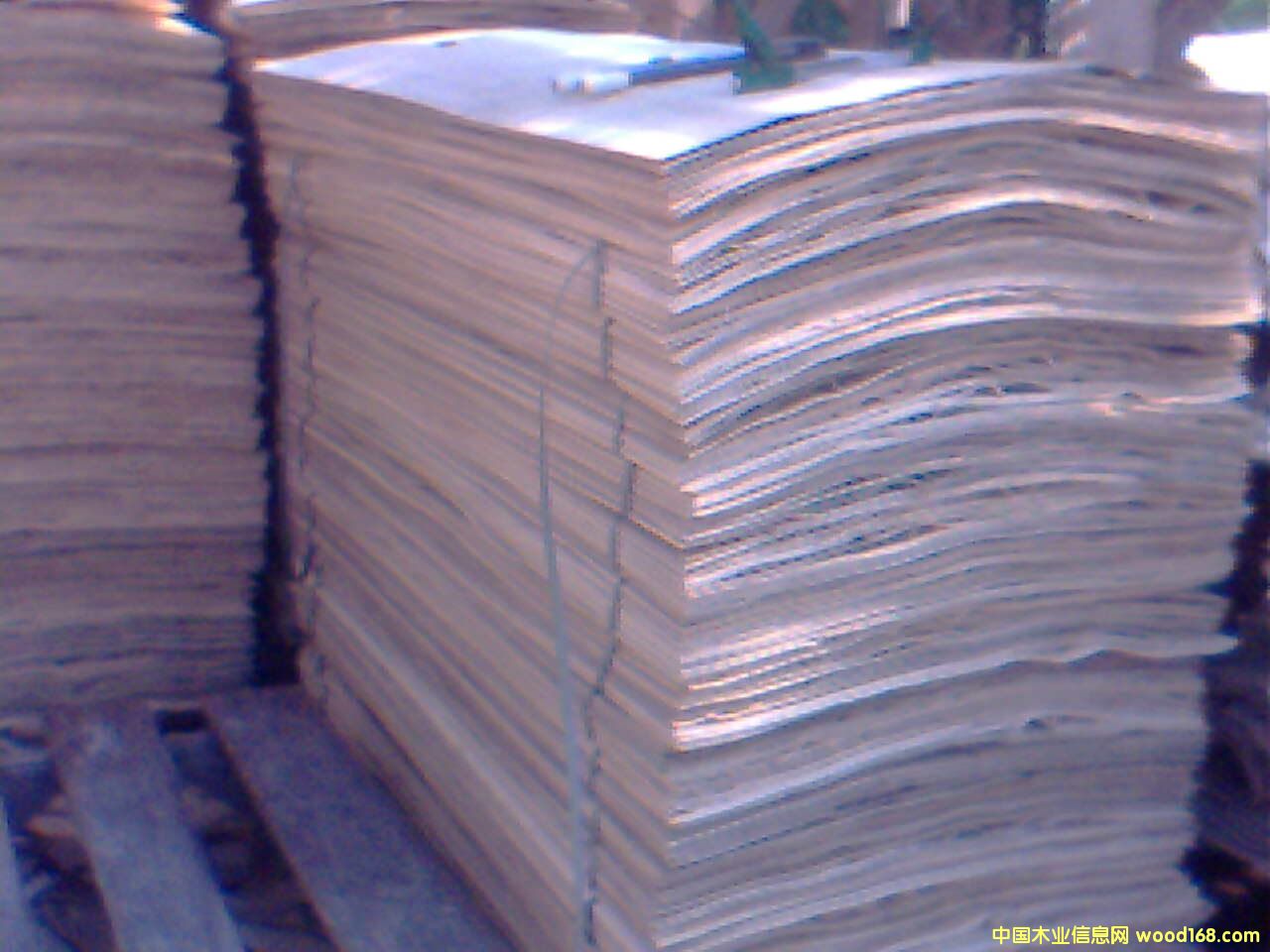 ��ľ��Ƥ��Ԕ����B