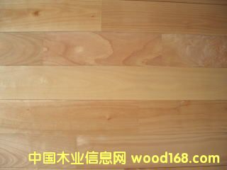 ��ľ�ذ壨����ľ����Ԕ����B