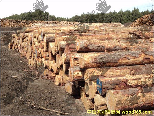 �����mݗ����ԭľ��Ԕ����B