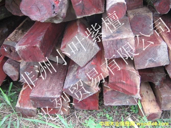 ����С�~��̴��Ԕ����B