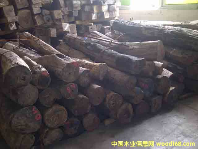 �t��֦��17-25����Ԕ����B