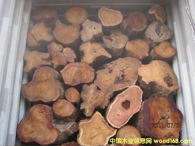 �����棨���ȁ�����Ԕ����B