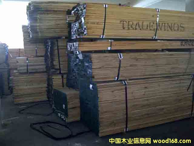 ������ģ��t������������Ϟ��