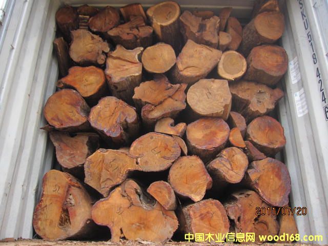 �����棨���ȁ�����Ԕ����B