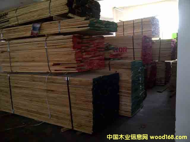 ������ģ��t�𡢰��𡢰�Ϟ��