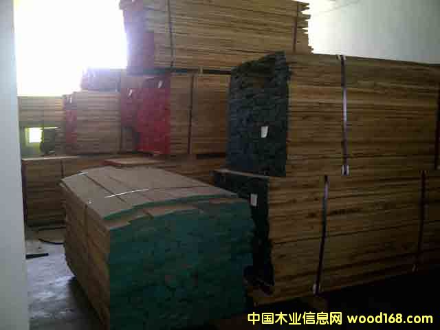 ������ģ��t�𡢰�������Ϟ��