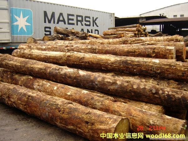 ��֦����ľ���W�����M�ڈ��P��zȫ�״���