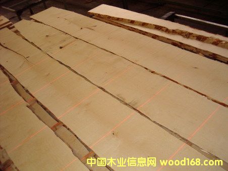 ���_˹��ľ��Ԕ����B