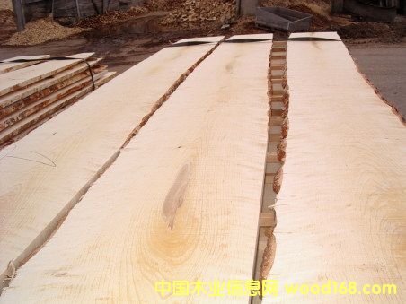 FSC���_˹��ľ��Ԕ����B