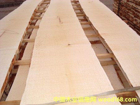 ���_˹��ľ��Ԕ����B