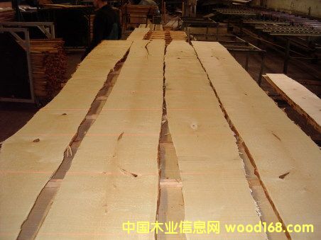 ���_˹��ľ��Ԕ����B