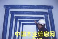 �c���鿴��ľ�Ŵ�DƬ