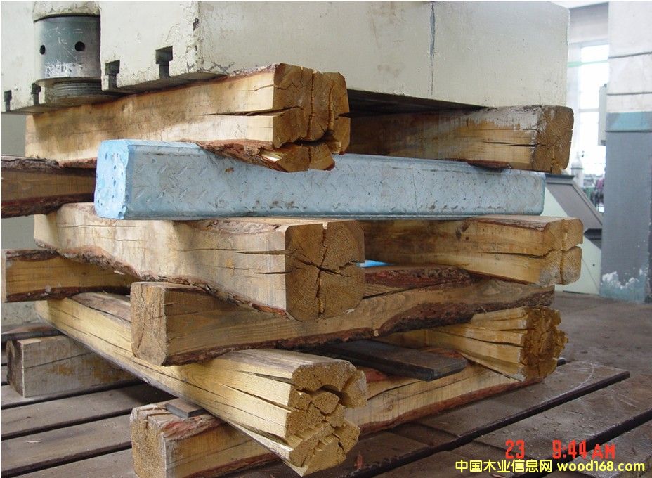 �c���鿴��ľ�Ŵ�DƬ