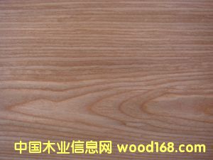 �Ƽ�ľƤ  ����ľ��Ԕ����B