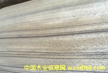 ��ľ��Ԕ����B