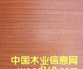 �ߙn��ȻľƤ�����Ԕ��(x��)��B