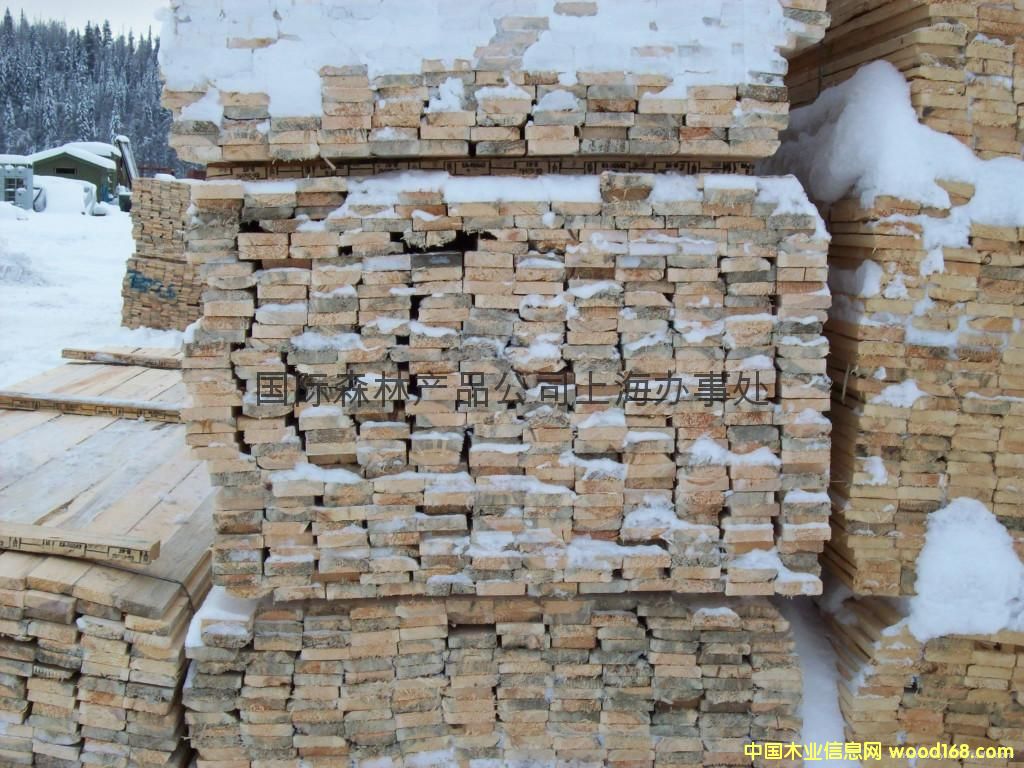 ����J#��SPF��ĵ�Ԕ����B