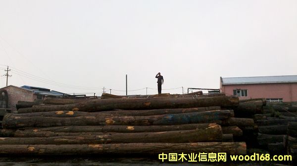 ���ư�Ϟ?z��i)���Ԕ����B