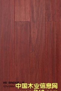 HS  SINDUR  1ƴ��Ԕ����B