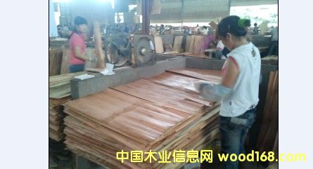 ����ģ���Ԕ����B