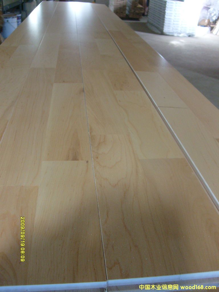 ��ľ��Ԕ����B