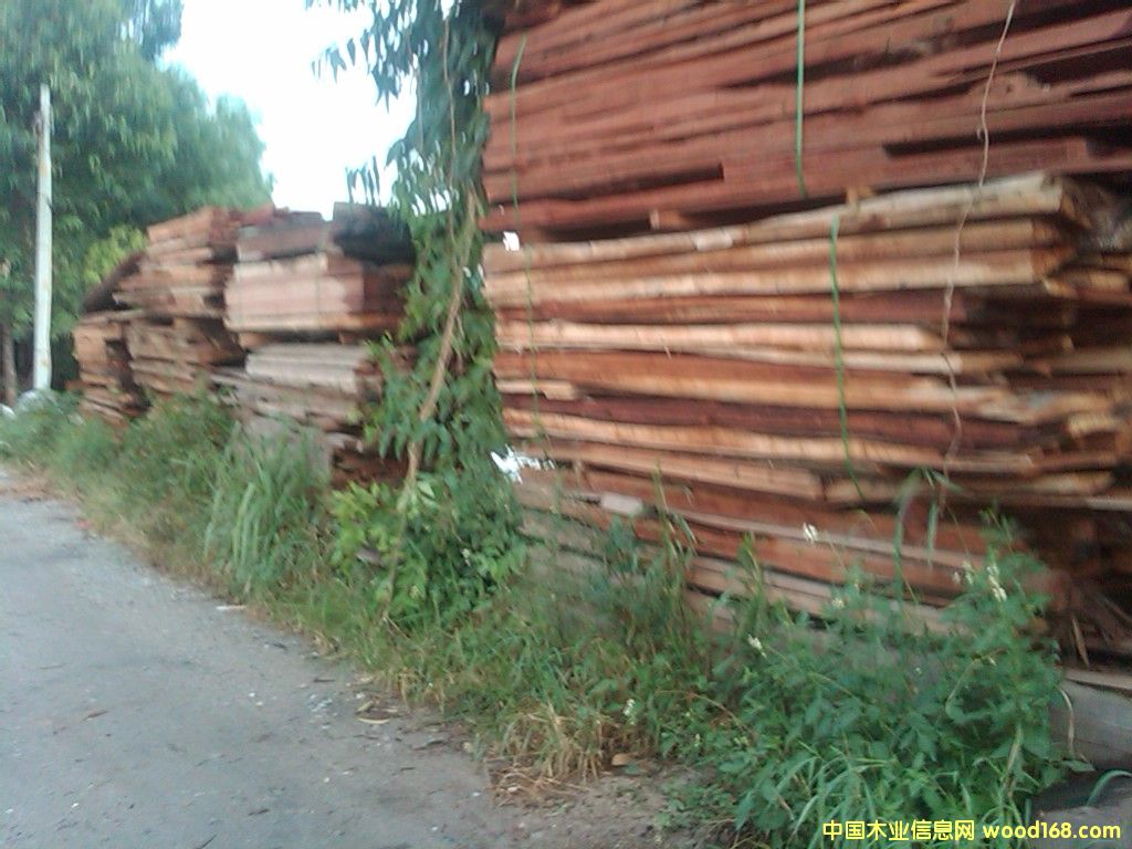 ľ��߅���ϵ�Ԕ����B