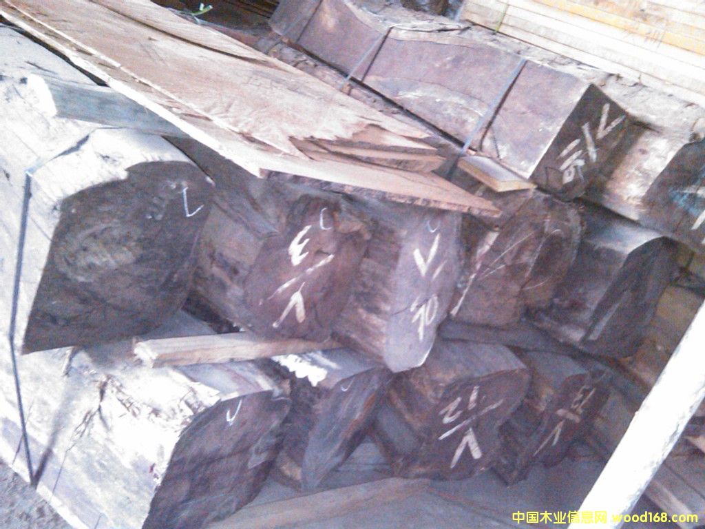 �ϓ��t��֦��Ԕ����B