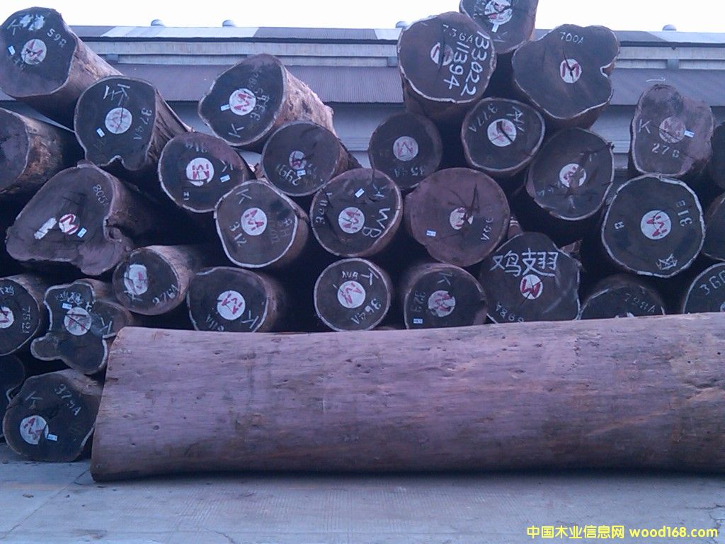 �u���Ԕ����B