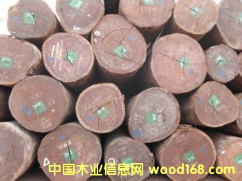 ɳ������Ԕ����B