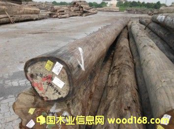 �����Ԕ����B