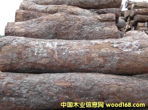 Ƥ�ҵ�Ԕ����B