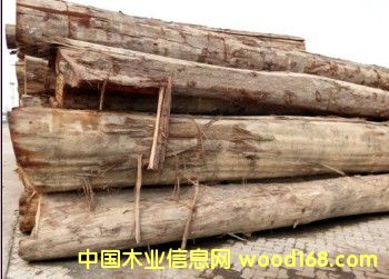 �����Ԕ����B