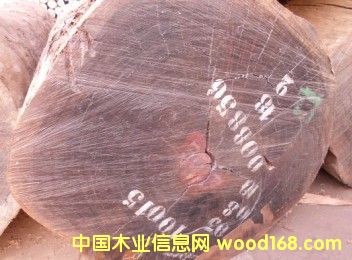 �t�Fľ��Ԕ����B