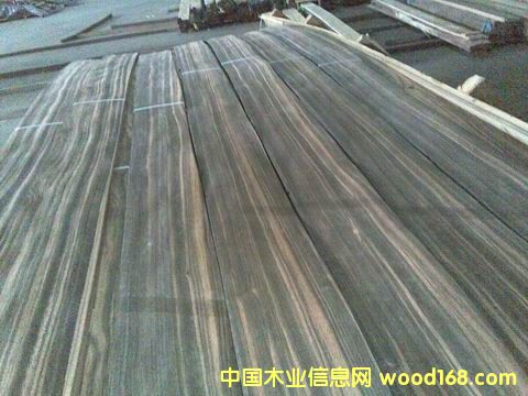 ��̴B��Ƥ�����y����Ԕ����B